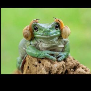 Meet your Posher, Michele